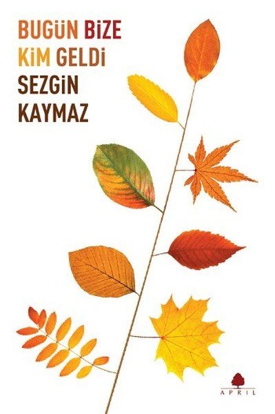 Bugün Bize Kim Geldi, Sezgin Kaymaz