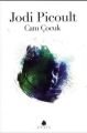Cam Çocuk, Jodi Picoult