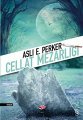 Cellat Mezarlığı, Aslı E. Perker