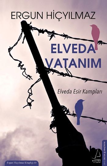 Elveda Vatanım, Ergun Hiçyılmaz