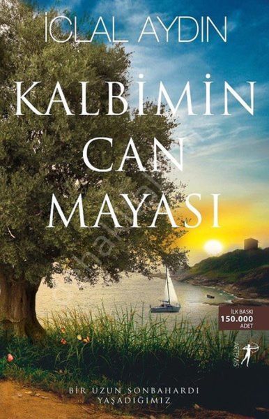Kalbimin Can Mayası, Artemis Yayınları