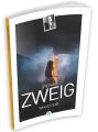 Yakıcı Sır, Stefan Zweig