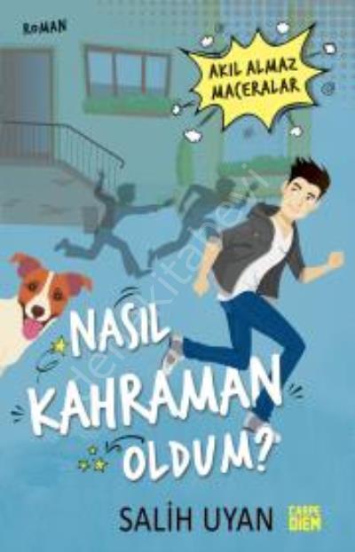 Nasıl Kahraman Oldum? - Akıl Almaz Maceralar