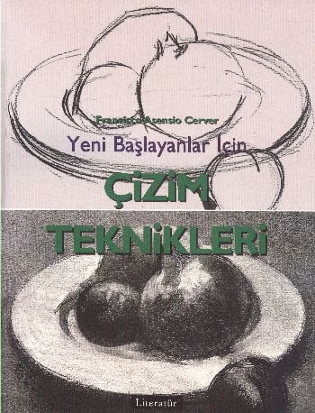 Yeni Başlayanlar İçin Çizim Teknikleri, Francisco Asensio Cerver, Literatür