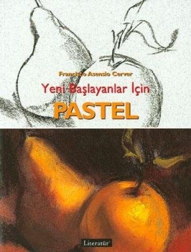 Yeni Başlayanlar İçin Pastel, Francisco Asensio Cerver, Literatür