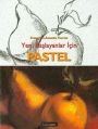 Yeni Başlayanlar İçin Pastel, Francisco Asensio Cerver, Literatür