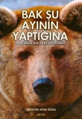 Bak Şu Ayının Yaptığına, Hüseyin Avni Özen