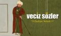 Veciz Sözler Sultan Veled, H.Erol Yıldız