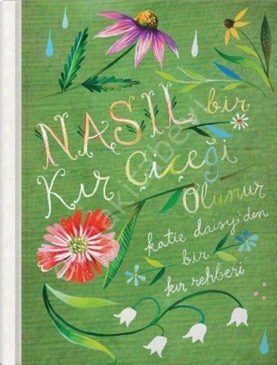 Nasıl Bir Kır Çiçeği Olunur?, Fabooks
