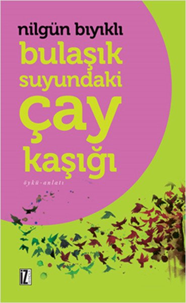 Bulaşık Suyundaki Çay Kaşığı, Nilgün Bıyıklı, İz Yayıncılık