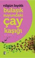 Bulaşık Suyundaki Çay Kaşığı, Nilgün Bıyıklı, İz Yayıncılık