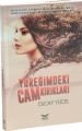 Yüreğimdeki cam kırıkları, Olcay Yücel, Amisos
