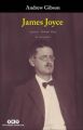 James Joyce, Andrew Gibson
