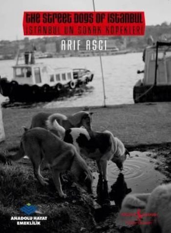 İstanbul'un Sokak Köpekleri /  The Street dogs Of Istanbul, Arif Aşçı