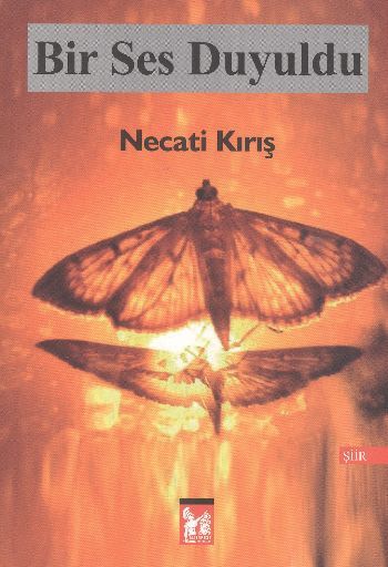 Bir Ses Duyuldu - Necati Kırış