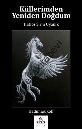 Küllerimden Yeniden Doğdum, Hatice Şirin Uyanık, Ekinoks