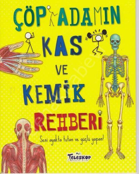 Çöp Adamın Kas Ve Kemik Rehberi, Teleskop Popüler Bilim