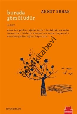 Burada Gömülüdür 1. Cilt, Ahmet Erhan