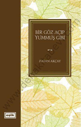 Bir Göz Açıp Yummuş Gibi