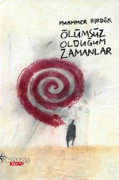Yıl Boyunca Korsan Gemisi, Elizabeth Havercroft, Remzi Kitabevi