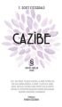 Cazibe, F. Scott Fitzgerald