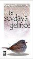 İş Sevdaya Gelince, Kerem Özakman
