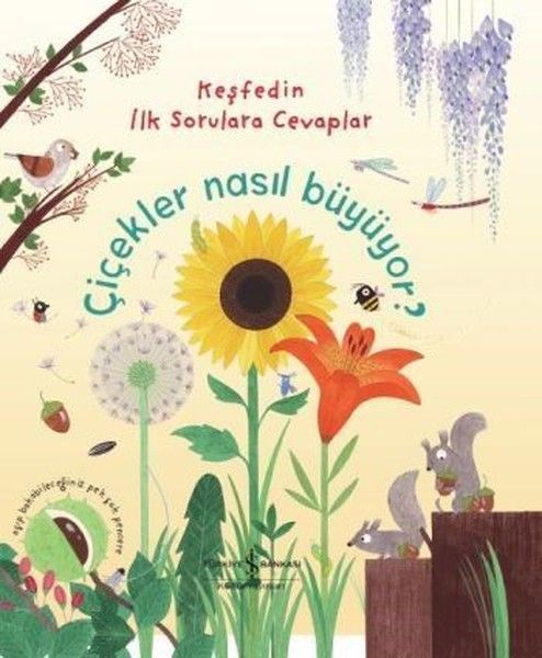 Keşfedin İlk Sorulara Cevaplar Çiçekler Nasıl Büyüyor Ciltli, Katie Daynes