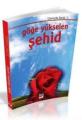 Göğe Yükselen Şehid, Faysal Yaman