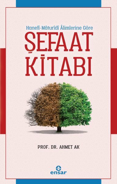 Şefaat Kitabı; Hanefi - Maturidi Alimlerine Göre, Ensar Neşriyat