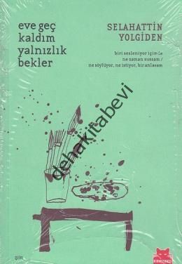 Eve Geç Kaldım Yalnızlık Bekler, Selahattin Yolgiden