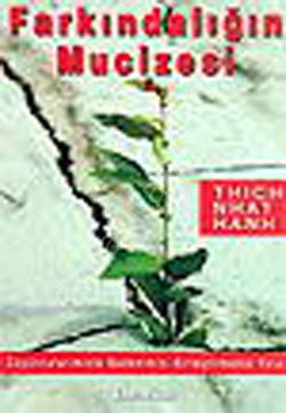 Farkındalığın Mucizesi, Thich Nhât Hanh, Kuraldışı Yayıncılık