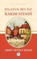 Felatun Bey ile Rakım Efendi, Ahmet Mithat Efendi