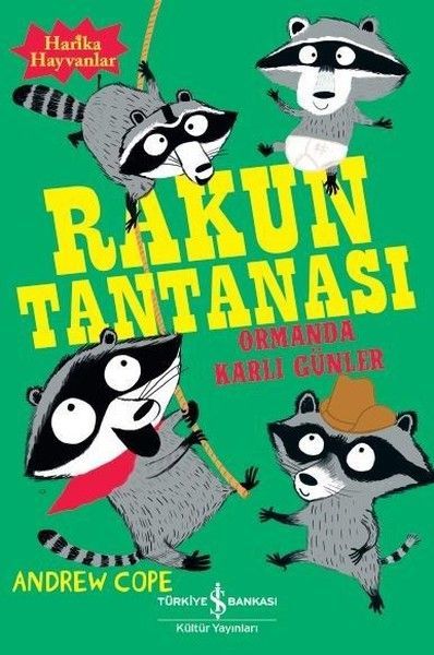 Rakun Tantanası Ormanda Karlı Günler, Andrew Cope