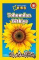 National Geographic Kids -Tohumdan Bitkiye, Beta Kids