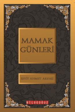 Mamak Günleri, Seyit Ahmet Arvasi