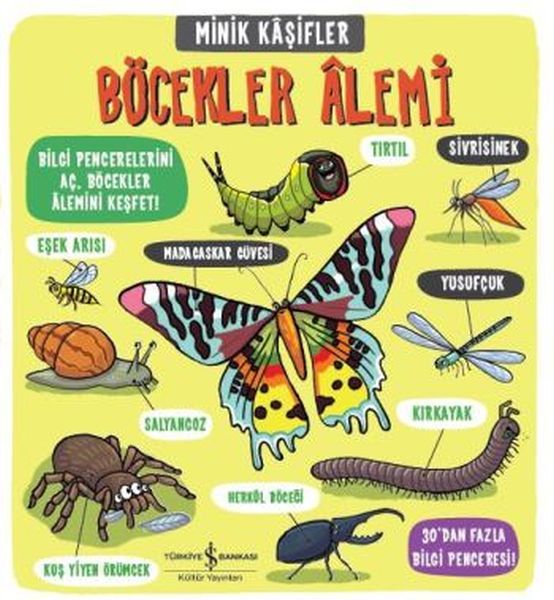 Minik Kaşifler Böcekler Alemi Ciltli, Tasha PercyBaxter