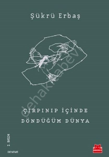 Çırpınıp İçinde Döndüğüm Dünya, Kırmızı Kedi Yayınev