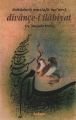 Divançe-i İlahiyat (Üsküdarlı Mustafa Ma'nevi), Mustafa Tatçı