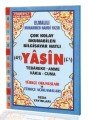 Yasin Tebareke Amme Türkçe Okunuş ve Meali (Orta BoyKod: 137)