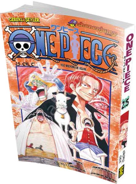One Piece 25 Yüz Milyonluk Adam, Gerekli Şeyler