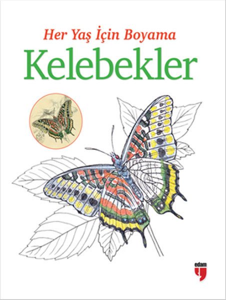 HER YAŞ İÇİN BOYAMA KELEBEKLER