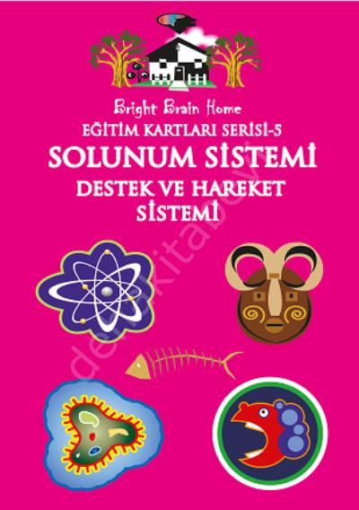 Eğitim Kartları Serisi 5 - Solunum Sistemi Destek ve Hareket Sistemi, Bright Brain Home
