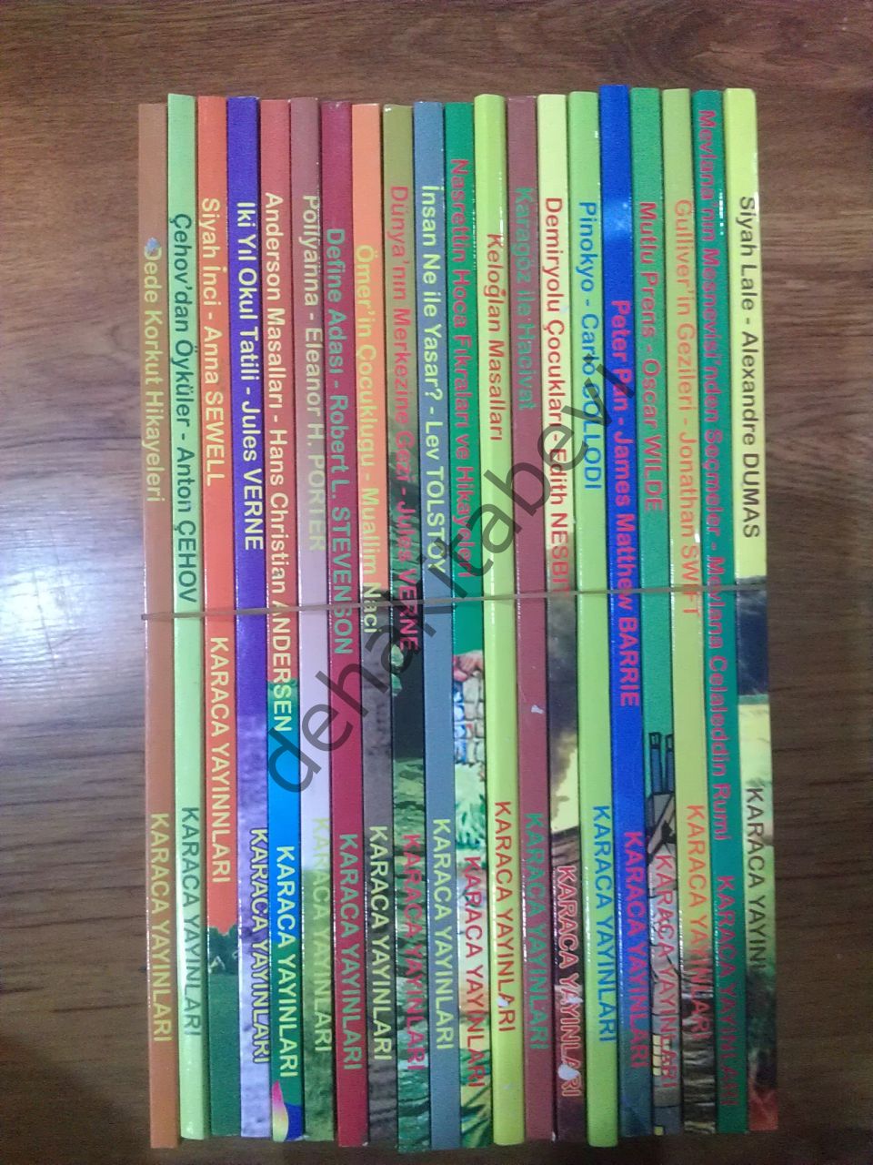 100 Temel Eserden Seçmeler 20 Kitap