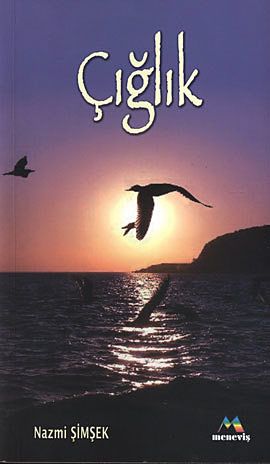 Çığlık, Nazmi ŞİMŞEK