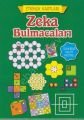 Zeka Bulmacaları, Teleskop Popüler Bilim