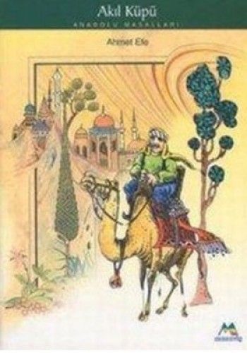Akıl Küpü