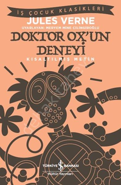 Doktor Ox'un Deneyi (Kısaltılmış Metin), İş Bankası Yayınları
