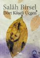 Dört Köşeli Üçgen, Salah Birsel