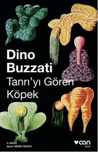 Tanrı'yı Gören Köpek, Dino Buzzati