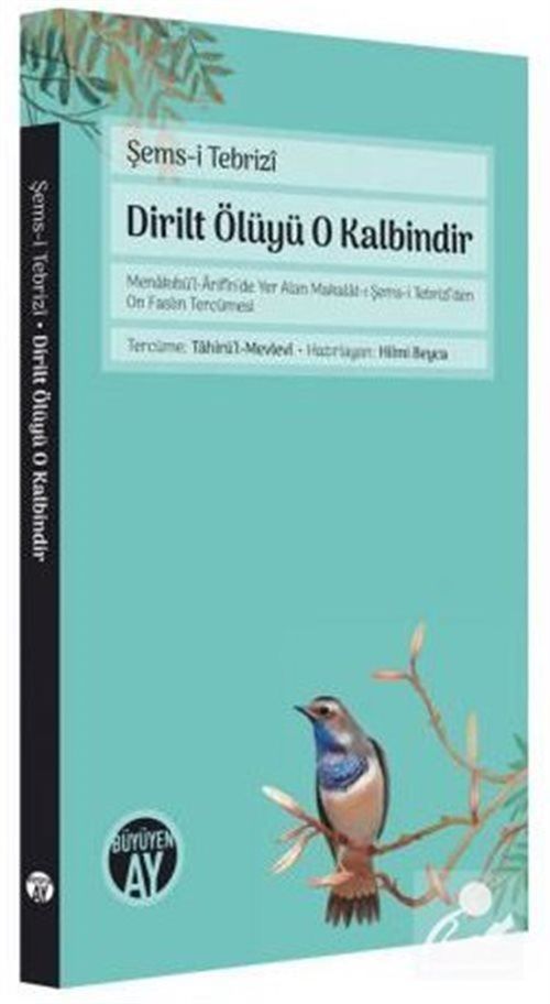 Dirilt Ölüyü O Kalbindir Şems-i Tebrizi